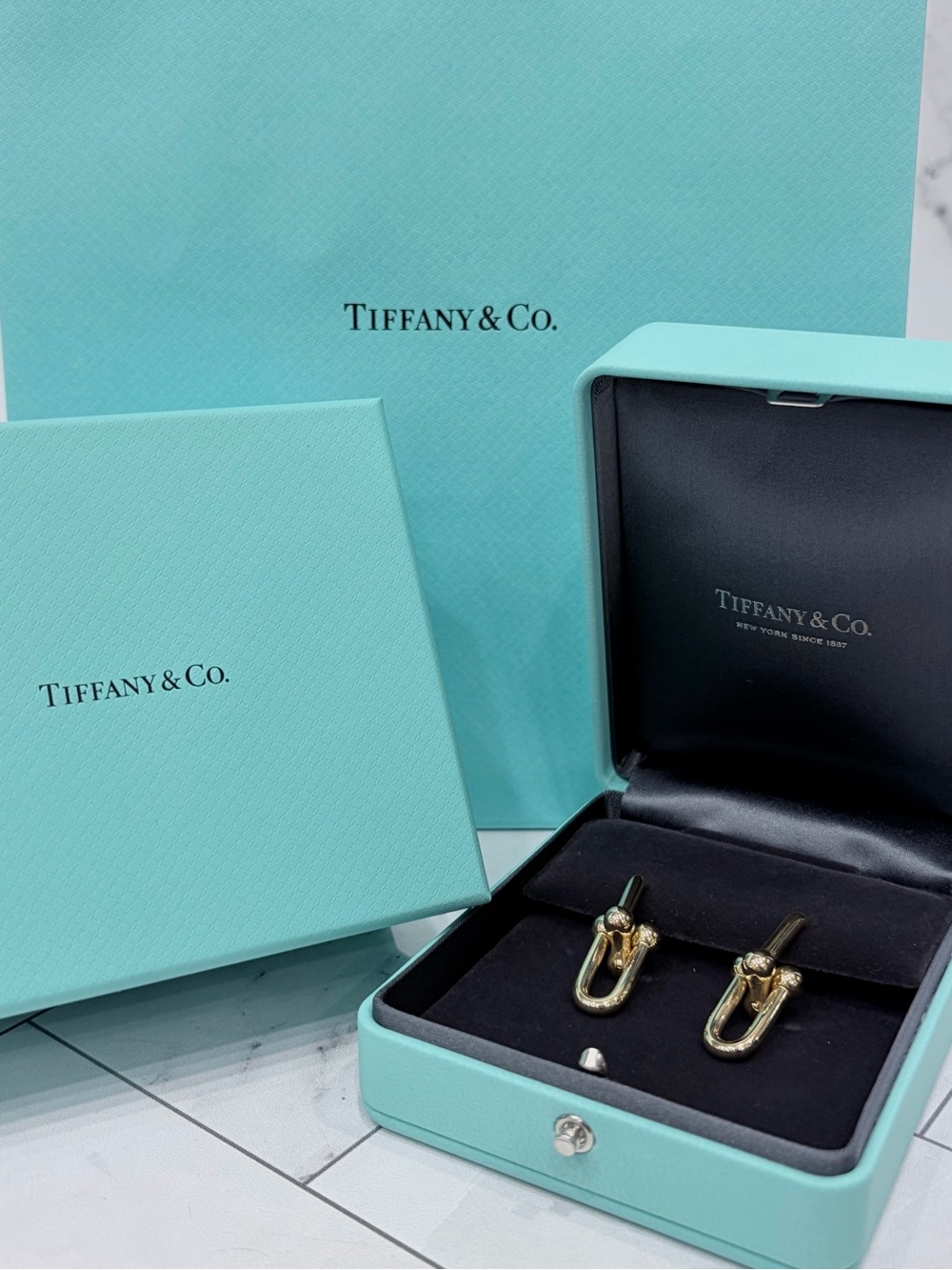 Tiffany HardWear Large Link Earrings
